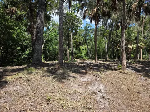 4876 Rambling River Rd, Brandon, FL 33511 photo 8
