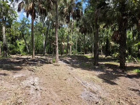 4876 Rambling River Rd, Brandon, FL 33511 photo 7