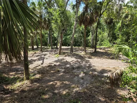 4876 Rambling River Rd, Brandon, FL 33511 photo 6