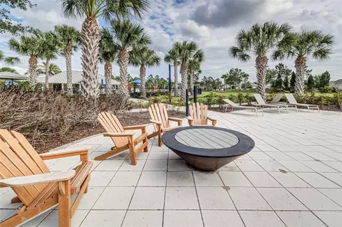 View/Area - 11670 Cambium Crown Dr, Riverview, FL 33569 photo 1 of 4