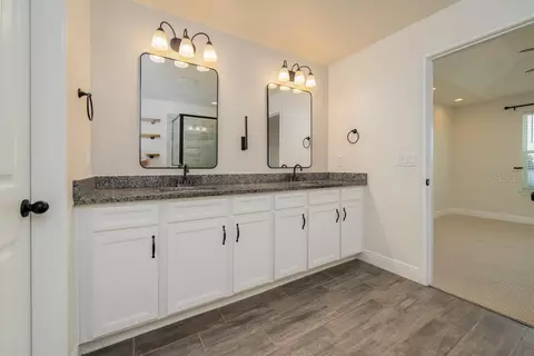 Bath - 11670 Cambium Crown Dr, Riverview, FL 33569 photo 5 of 7