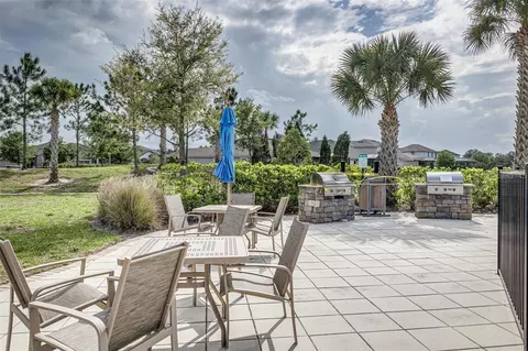 View/Area - 11670 Cambium Crown Dr, Riverview, FL 33569 photo 3 of 4