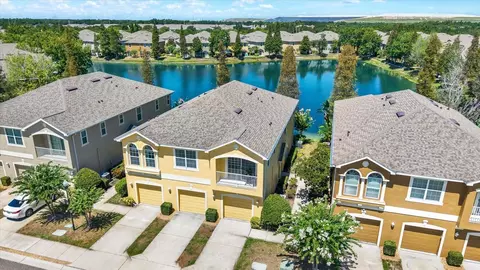 View/Area - 8919 Moonlit Meadows Loop, Riverview, FL 33578 photo 2 of 9