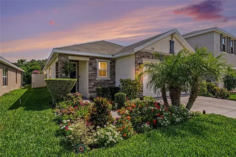 11453 Stone Pine St, Riverview, FL 33569