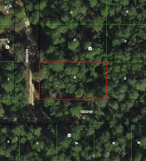 306 Little Ave, Inverness, FL 34452