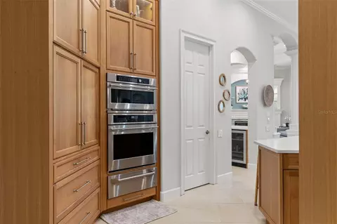 8921 Eagle Watch Dr, Riverview, FL 33578 photo 41