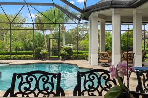 8921 Eagle Watch Dr, Riverview, FL 33578 photo 68