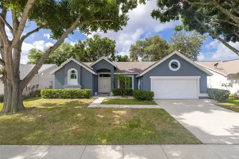 2972 Robinwood Ln, Palm Harbor, FL 34684