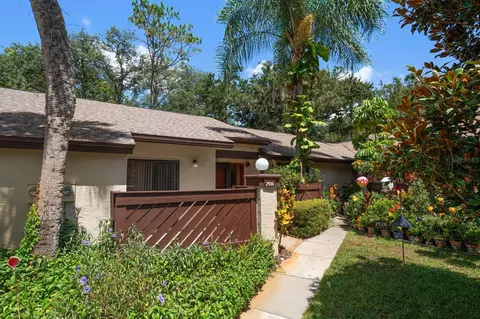 2926 Star Apple Ct, Palm Harbor, FL 34684