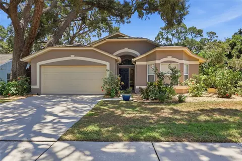 5724 Erhardt Dr, Riverview, FL 33578