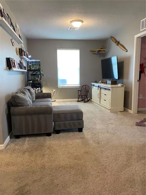 Other - 9126 Royal River Cir, Parrish, FL 34219 photo 4 of 8