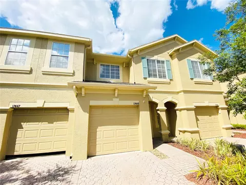 17449 Stinchar Dr, Land O Lakes, FL 34638