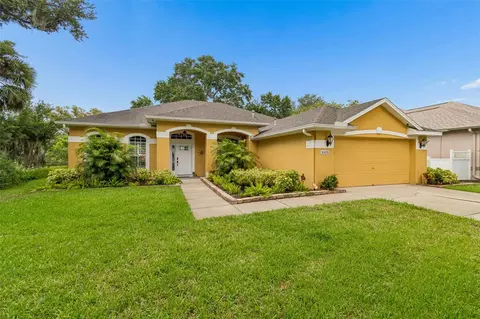 10035 Remington Dr, Riverview, FL 33578
