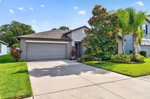 3716 Cat Mint St, Tampa, FL 33619