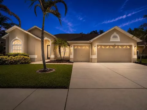 7221 Bucks Ford Dr, Riverview, FL 33578