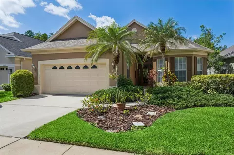 9419 Greenpointe Dr, Tampa, FL 33626