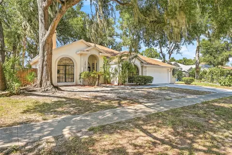 10412 Nightengale Dr, Riverview, FL 33569 photo 46
