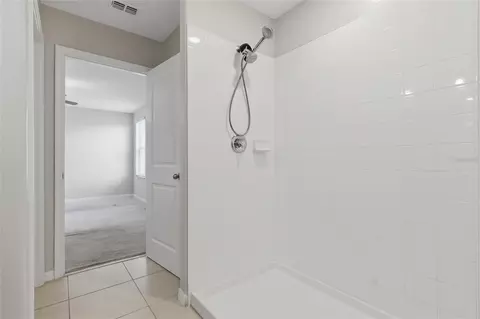 Bath - 17237 White Mangrove Dr, Wimauma, FL 33598 photo 1 of 2