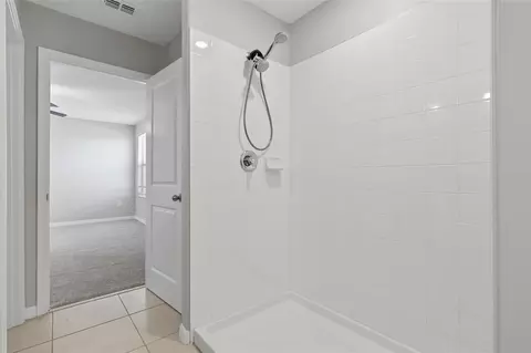 Entry Way - 17237 White Mangrove Dr, Wimauma, FL 33598 photo 4 of 5