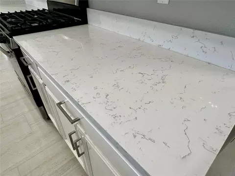 Kitchen - 5309 Kelper Hook Ct, Wimauma, FL 33598 photo 6 of 6
