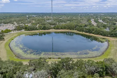 View/Area - 5904 Shell Ridge Dr, Lithia, FL 33547 photo 18 of 18