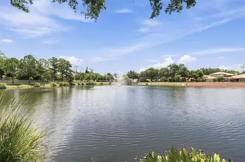 1469 Riverdale Dr, Oldsmar, FL 34677