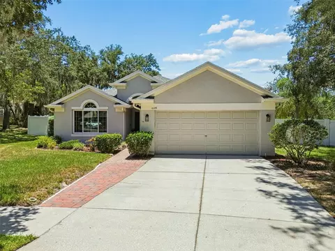 Exterior - 11129 Bridgecreek Dr, Riverview, FL 33569 photo 36 of 37