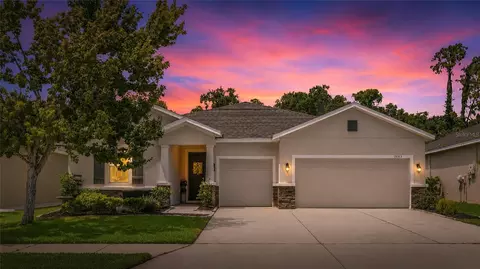 15313 Trinity Fall Way, Bradenton, FL 34212 photo 27