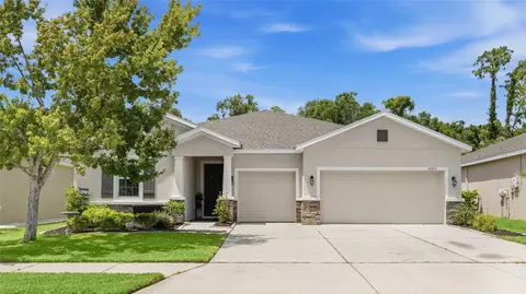 15313 Trinity Fall Way, Bradenton, FL 34212 photo 1