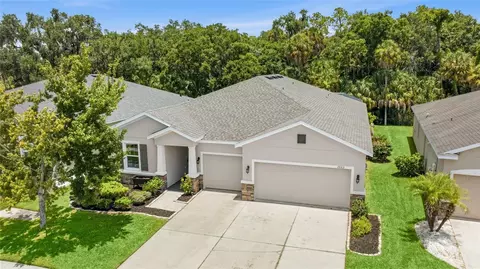 15313 Trinity Fall Way, Bradenton, FL 34212 photo 28