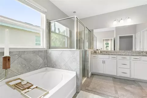 15313 Trinity Fall Way, Bradenton, FL 34212 photo 10