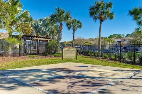 15313 Trinity Fall Way, Bradenton, FL 34212 photo 36