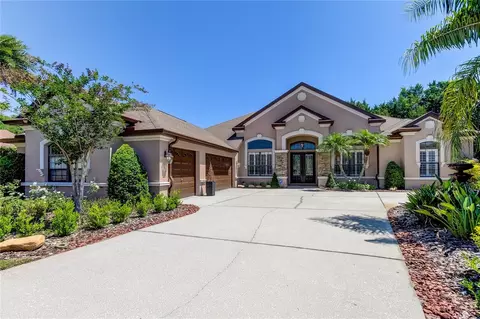 1422 Aristides Ct, Odessa, FL 33556