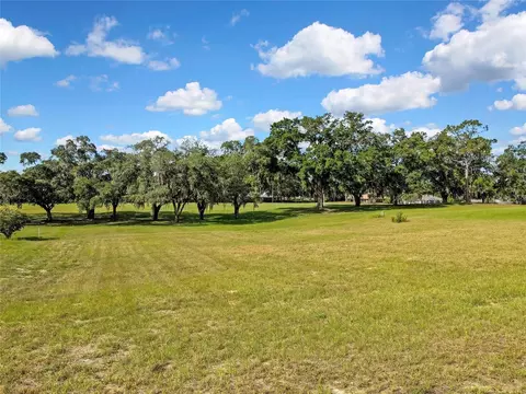 368 E Falconry Ct, Hernando, FL 34442 photo 4