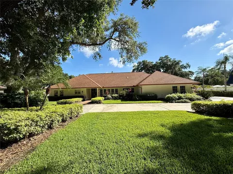 1003 Bajada De Avila, Tampa, FL 33613