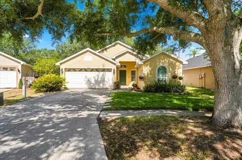 4532 Wild Plum Ln, Lutz, FL 33558