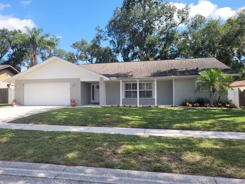 1104 Riflecrest Ave, Valrico, FL 33594