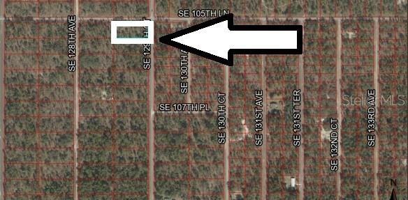 lot1 SE 129th Ct, Dunnellon, FL 34431