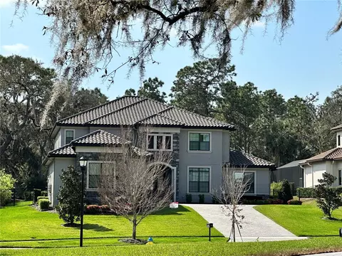 14704 Fishhawk Preserve Dr, Lithia, FL 33547