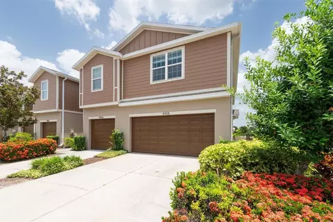 4958 White Sanderling Ct, Tampa, FL 33619