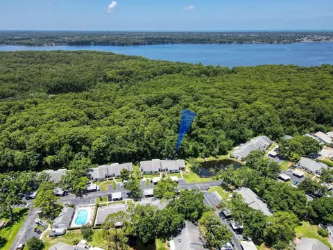 View/Area - 3454 Killdeer Pl, Palm Harbor, FL 34685 photo 1 of 4
