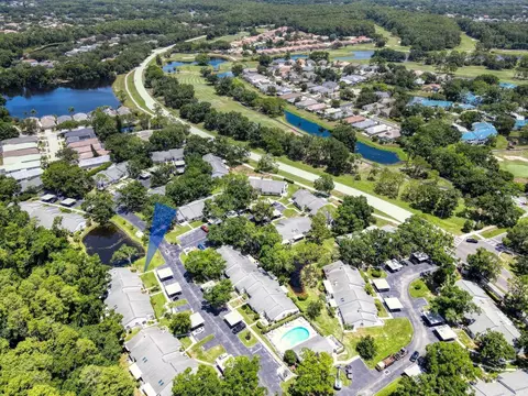 View/Area - 3454 Killdeer Pl, Palm Harbor, FL 34685 photo 4 of 4