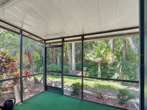 Exterior - 3454 Killdeer Pl, Palm Harbor, FL 34685 photo 5 of 13