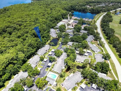 View/Area - 3454 Killdeer Pl, Palm Harbor, FL 34685 photo 3 of 4