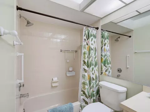 Bath - 3454 Killdeer Pl, Palm Harbor, FL 34685 photo 3 of 4