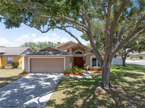 Other - 10626 Foxcrest Way, Riverview, FL 33569 photo 6 of 6