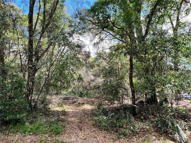 Garfield Avenue, Brooksville, FL 34604