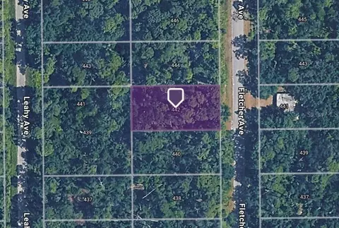 442 Fletcher Ave, Lake Placid, FL 33852