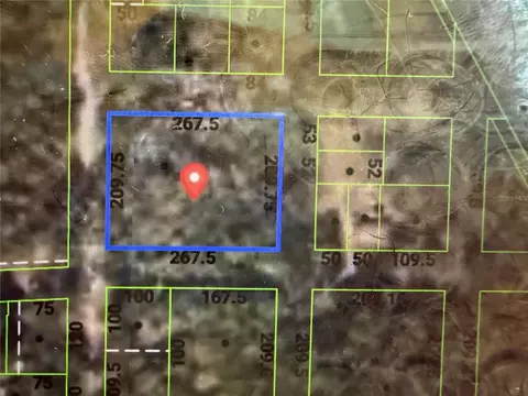 Hale Avenue, Brooksville, FL 34601