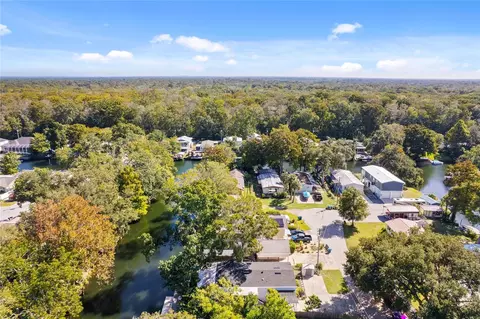 6331 Theodan St, Weeki Wachee, FL 34607 photo 35